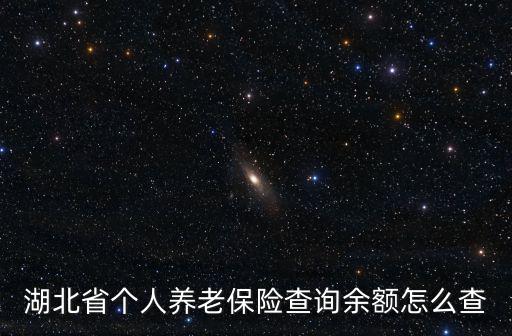 湖北省個人養老保險查詢余額怎么查