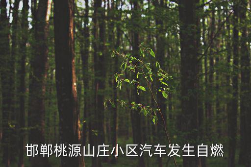邯鄲桃源山莊，邯鄲桃源山莊小區(qū)汽車發(fā)生自燃