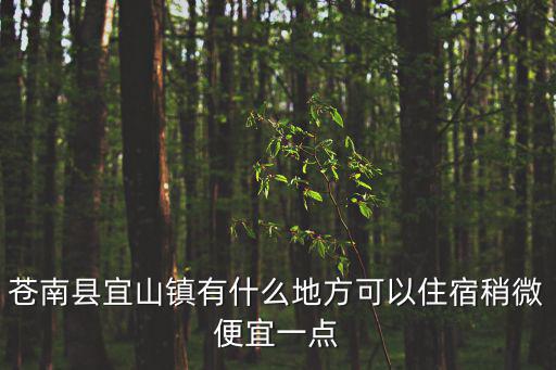 宜山鎮，宜山是哪個市