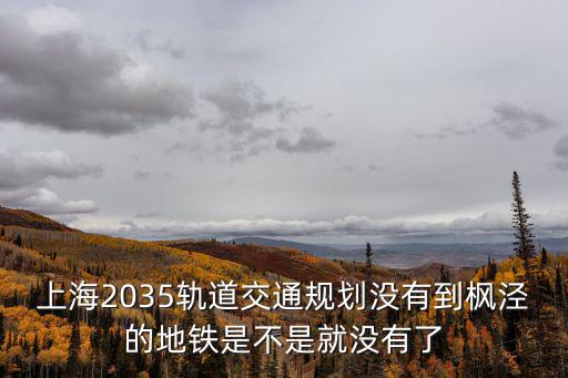 上海2035軌道交通規劃沒有到楓涇的地鐵是不是就沒有了