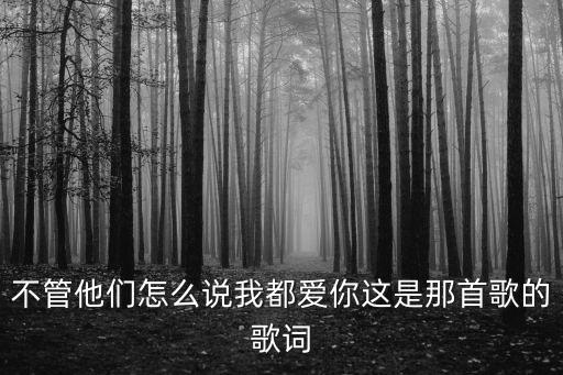 不管他們怎么說我都愛你這是那首歌的歌詞