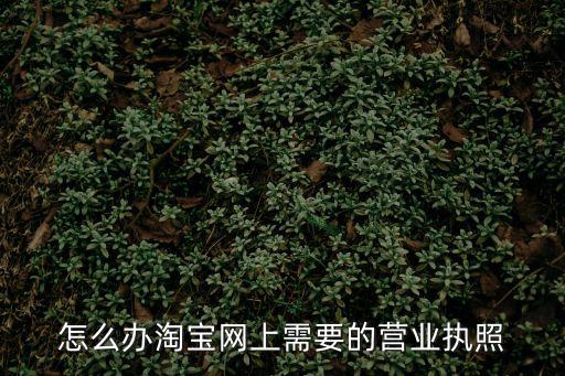 怎么辦淘寶網(wǎng)上需要的營(yíng)業(yè)執(zhí)照