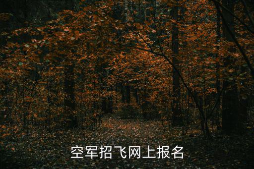 空軍招飛網，空軍招飛網上報名成功后是等通知還是自己根據指定初檢部去初檢  搜