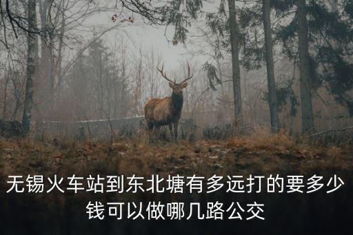 無錫火車站到東北塘有多遠打的要多少錢可以做哪幾路公交