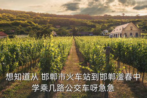 邯鄲市滏春中學，邯鄲滏春中學和鋼苑中學哪個中學比較好