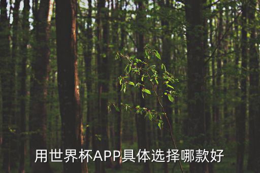 用世界杯APP具體選擇哪款好