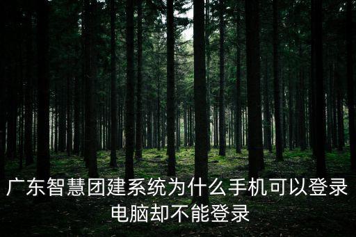 廣東智慧團建系統為什么手機可以登錄 電腦卻不能登錄