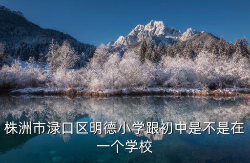 株洲市淥口區明德小學跟初中是不是在一個學校
