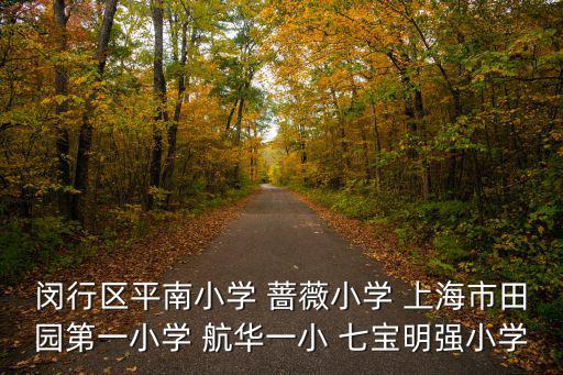 閔行區平南小學 薔薇小學 上海市田園第一小學 航華一小 七寶明強小學