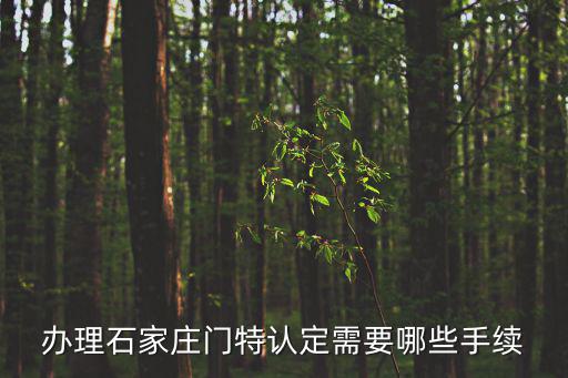 辦理石家莊門特認定需要哪些手續(xù)