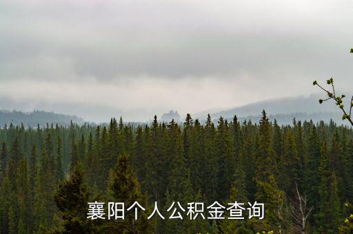 襄陽公積金，襄陽個人公積金查詢