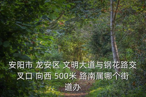 安陽街道，安陽哪個街道最繁華就是適合購物的