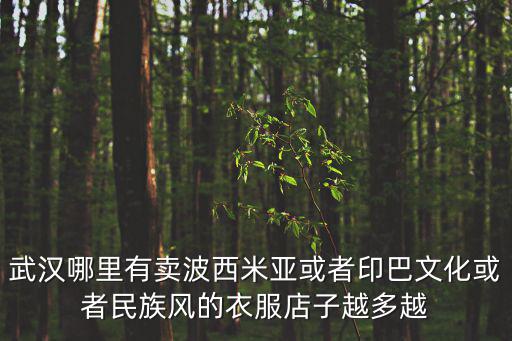 武漢哪里有賣波西米亞或者印巴文化或者民族風(fēng)的衣服店子越多越