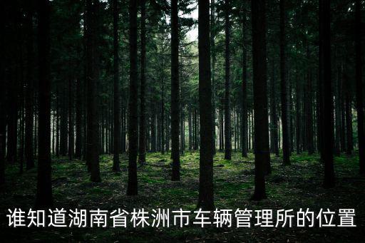 誰知道湖南省株洲市車輛管理所的位置