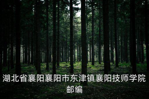 湖北省襄陽襄陽市東津鎮襄陽技師學院郵編