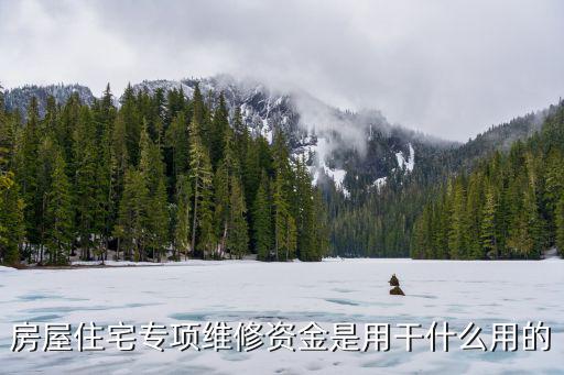 房屋住宅專項維修資金是用干什么用的