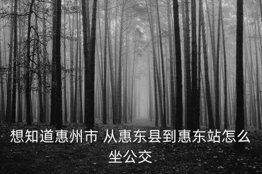 想知道惠州市 從惠東縣到惠東站怎么坐公交