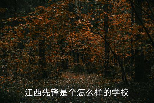 江西先鋒是個怎么樣的學校