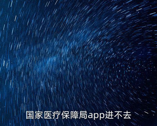 國家醫(yī)療保障局app進不去