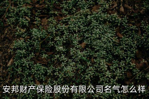 安邦財產保險股份有限公司名氣怎么樣