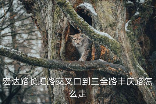 宏達路，五叉路口宏達路漢江路沔街 怎么走