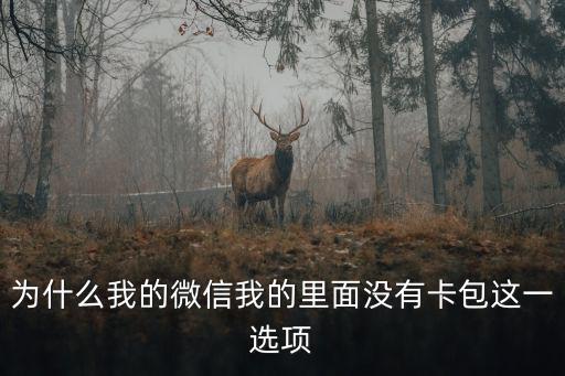 為什么我的微信我的里面沒有卡包這一選項