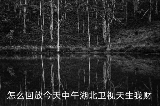 怎么回放今天中午湖北衛視天生我財
