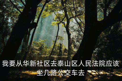 我要從華新社區去泰山區人民法院應該坐幾路公交車去
