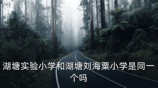 湖塘實驗小學和湖塘劉海粟小學是同一個嗎