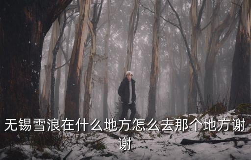 無錫雪浪，無錫雪浪在什么地方怎么去那個地方謝謝