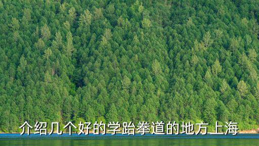 介紹幾個好的學(xué)跆拳道的地方上海