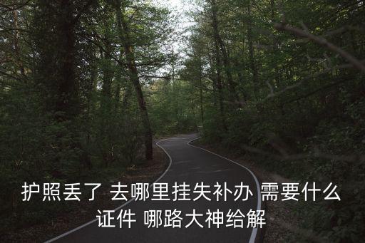 護照丟了 去哪里掛失補辦 需要什么證件 哪路大神給解