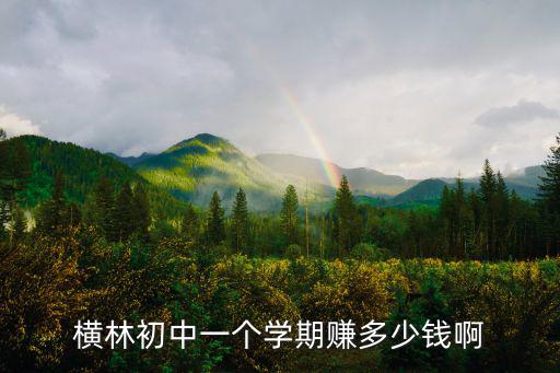 橫林初中一個學(xué)期賺多少錢啊