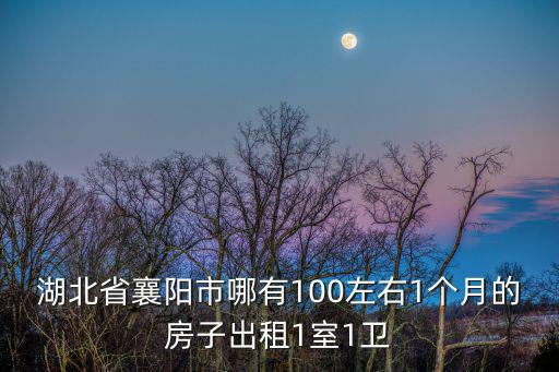 湖北省襄陽市哪有100左右1個月的房子出租1室1衛