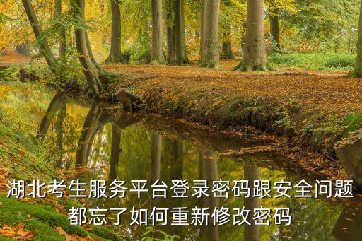 湖北考生服務平臺登錄密碼跟安全問題都忘了如何重新修改密碼