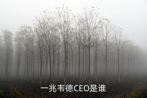 一兆韋德，一兆韋德 會所等級