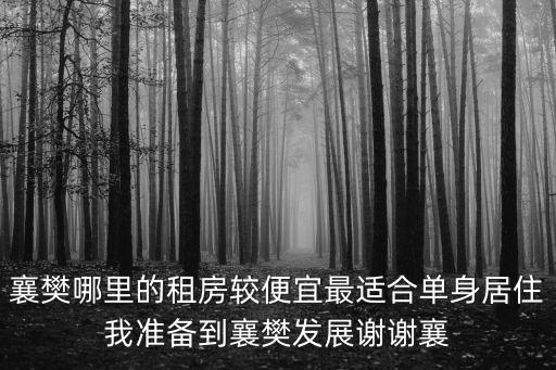 襄樊哪里的租房較便宜最適合單身居住我準備到襄樊發展謝謝襄