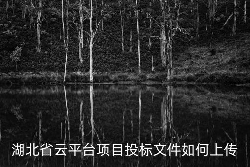 湖北省云平臺項目投標文件如何上傳