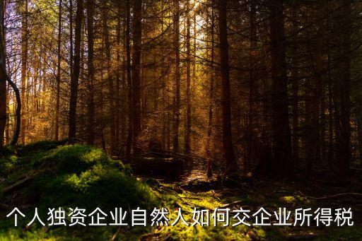 個人獨資企業自然人如何交企業所得稅