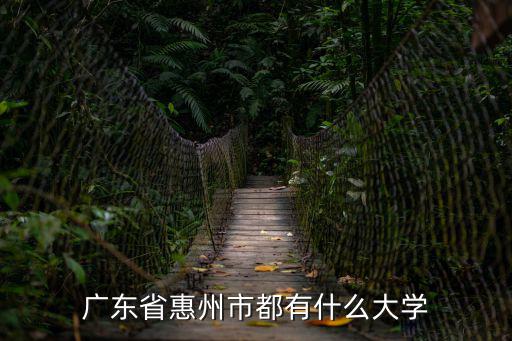 廣東省惠州市都有什么大學