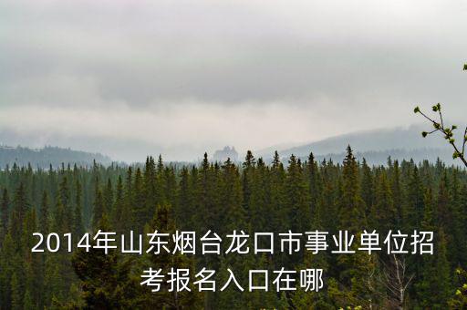 龍口人才網，2014年山東煙臺龍口市事業單位招考報名入口在哪