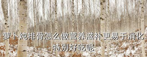 蘿卜燜排骨，蘿卜燜排骨的制作方法一