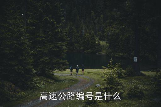 高速公路編號，高速公路是怎么編號的