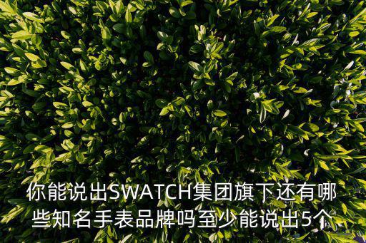 你能說出SWATCH集團旗下還有哪些知名手表品牌嗎至少能說出5個