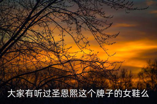 圣恩熙，大家有聽過圣恩熙這個牌子的女鞋么
