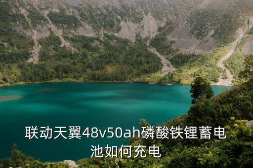 聯(lián)動天翼48v50ah磷酸鐵鋰蓄電池如何充電