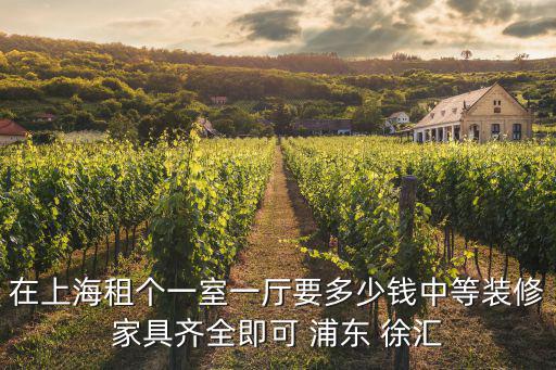 在上海租個一室一廳要多少錢中等裝修家具齊全即可 浦東 徐匯