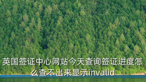 英國簽證中心網站今天查詢簽證進度怎么查不出來顯示invalid