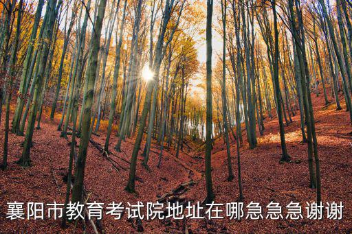 襄陽(yáng)市教育考試院地址在哪急急急謝謝