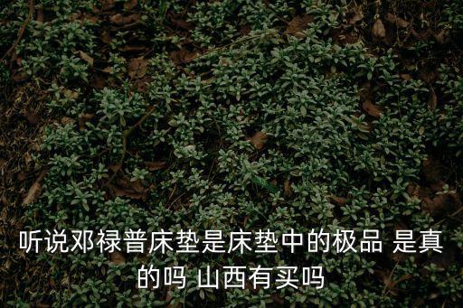 聽說鄧祿普床墊是床墊中的極品 是真的嗎 山西有買嗎